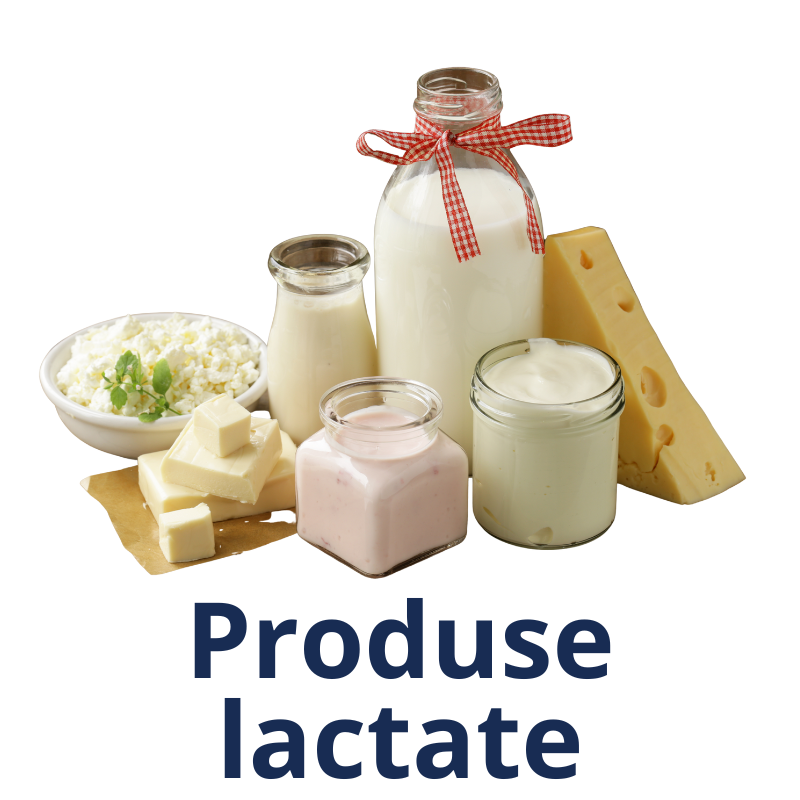 Produse lactate